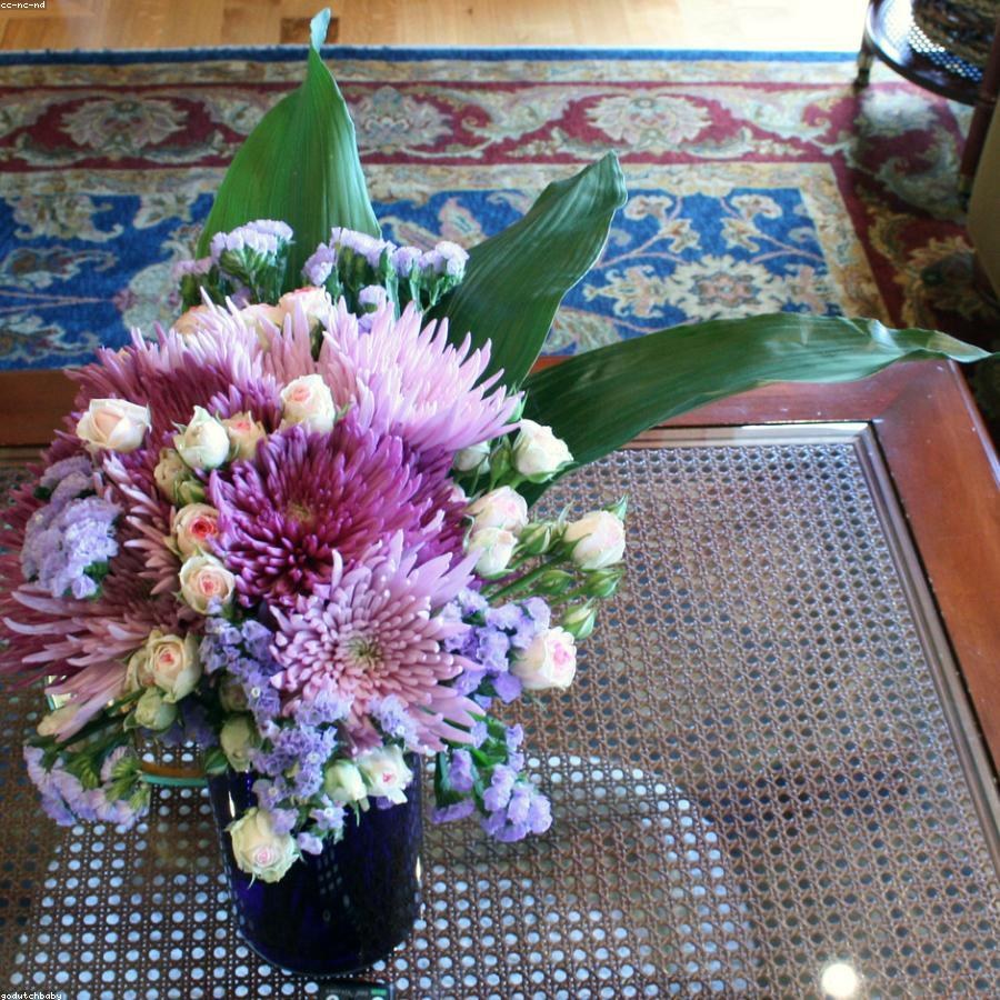 Хризантема